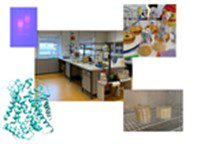Biotecnologia in laboratorio – in presenza
