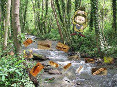 I macroinvertebrati bentonici come bioindicatori dell’ecosistema fiume – online