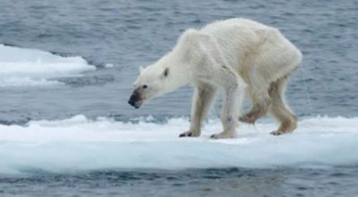 Il pianeta è veramente in pericolo? La Terra, la sua storia e l’impatto dell’uomo sull’ambiente – online